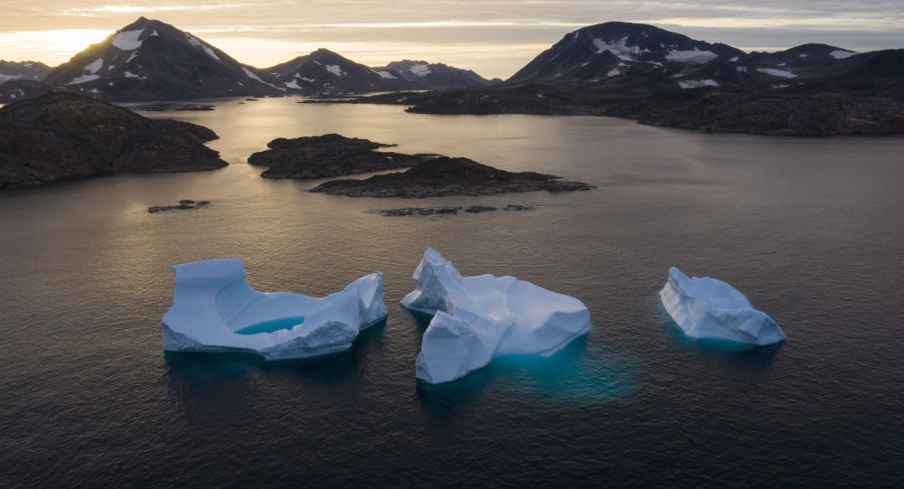 «Точка невозврата»: «Замерзший тропический лес» ускоряет таяние льда в Гренландии