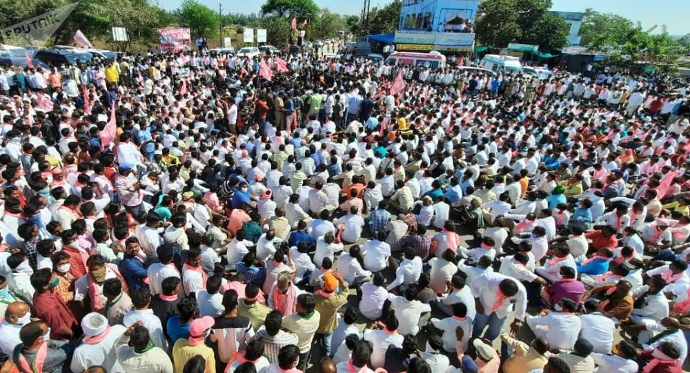 Законодатель BJP заявляет, что протестующие фермеры сговариваются распространять птичий грипп, потребляя курицу