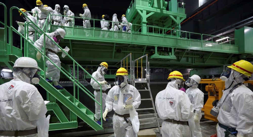 Ядерная катастрофа на Фукусиме почти «положила конец японскому государству», объясняет специалист по радиоактивным отходам