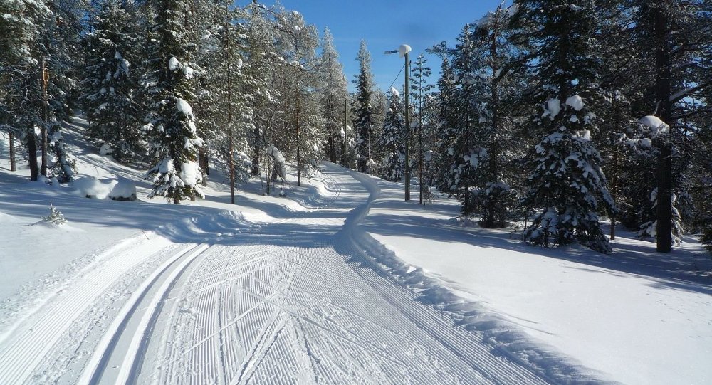 ‘Это было весело’: норвежский мужчина на лыжах побил рекорд — 700 километров за одну попытку