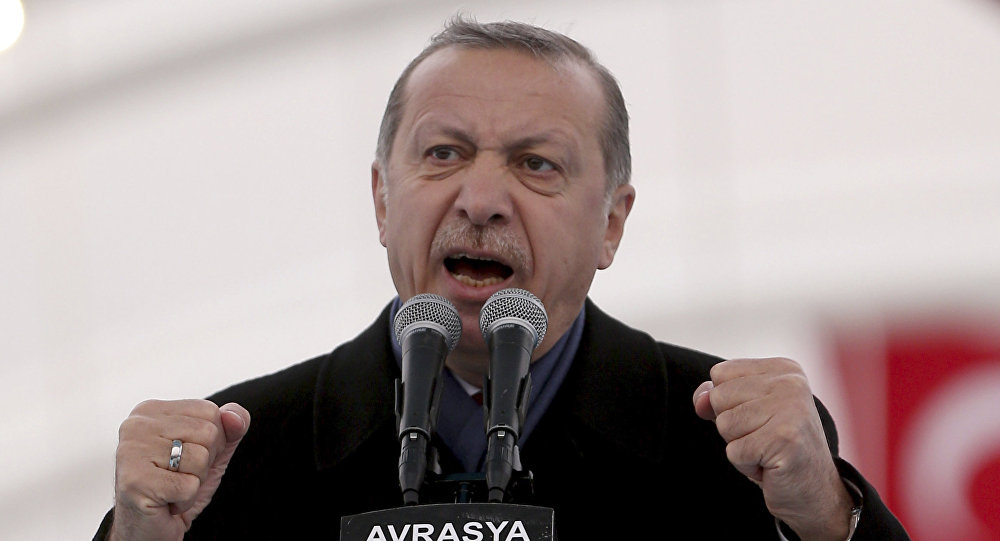 Сообщается, что Турция замораживает заказ вертолетов из Италии на 83 млн долларов после того, как Драги назвал Эрдогана «диктатором»
