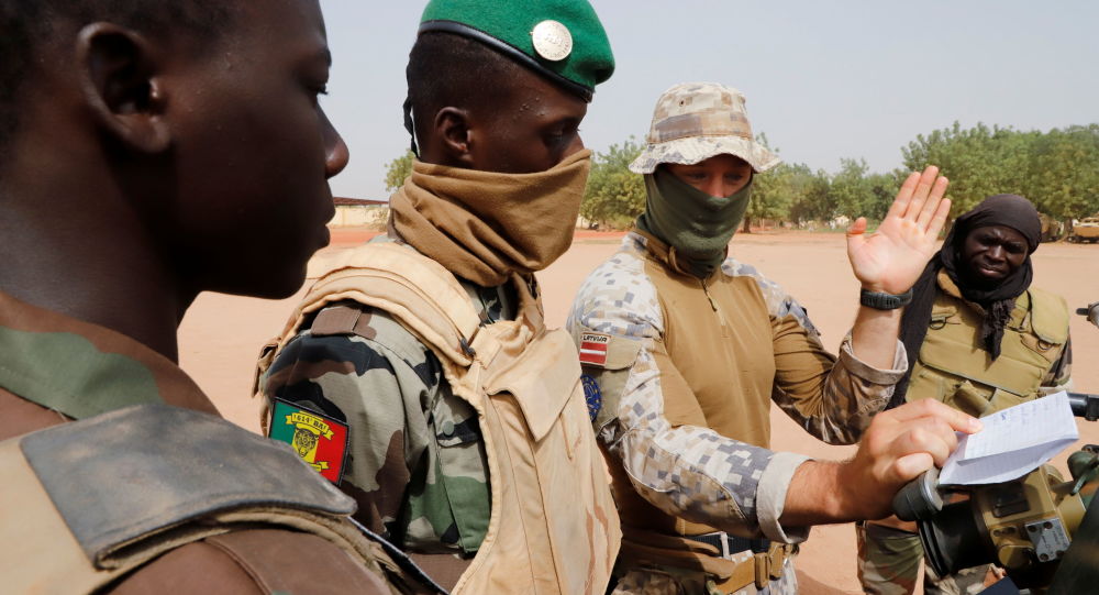 ЕС продолжит военное сотрудничество с Мали, поскольку руководитель переворота вице-президент Гойта назначает себя президентом