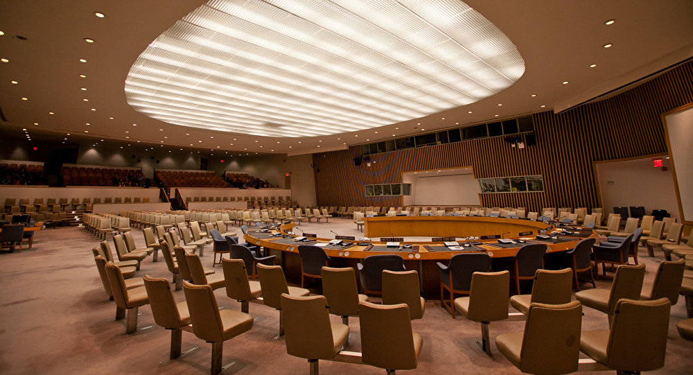 Франция, как сообщается, готовит резолюцию Совета Безопасности ООН с призывом к прекращению огня между Израилем и ХАМАС