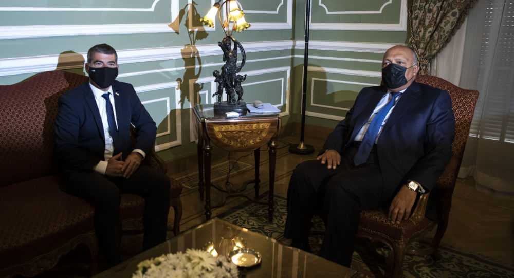 Министр иностранных дел Египта призывает Израиль воздержаться от действий, которые могут привести к эскалации конфликта в Газе
