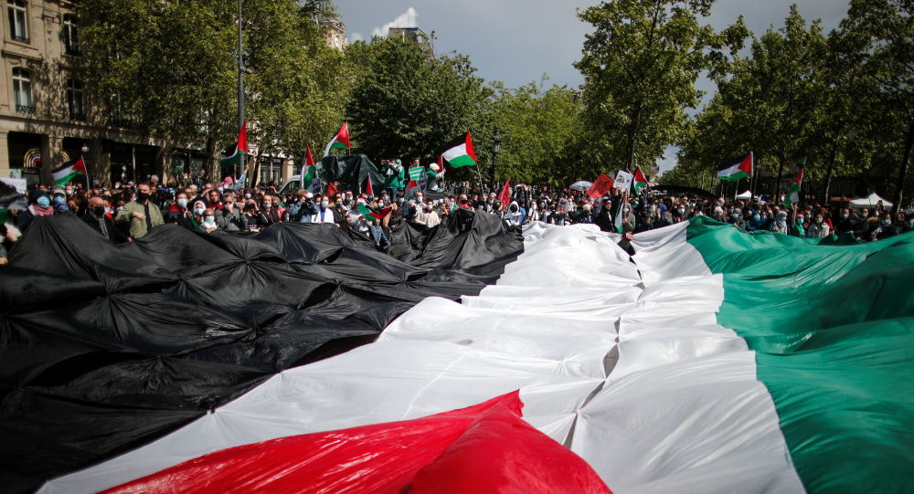 Митинг около 1000 человек в поддержку палестинцев в Париже