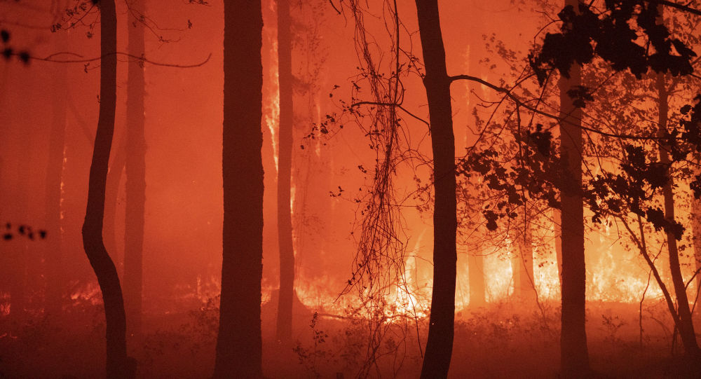 Лесной пожар в Нью-Джерси опустошает сотни акров земли в условиях сдерживания