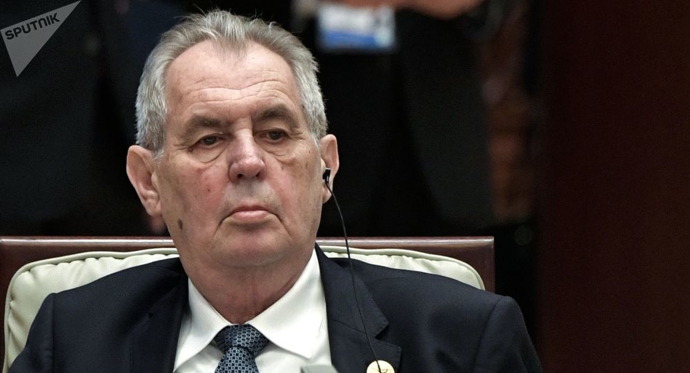 Комитет Сената Чехии признал президента Земана неспособным занимать пост