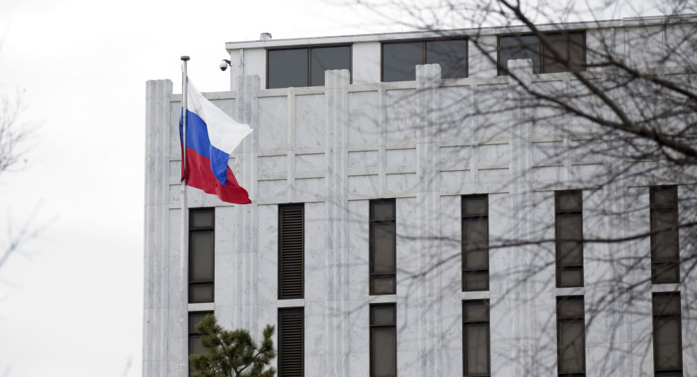 Посол России обнародовал ближайшую повестку дня по возвращении в США