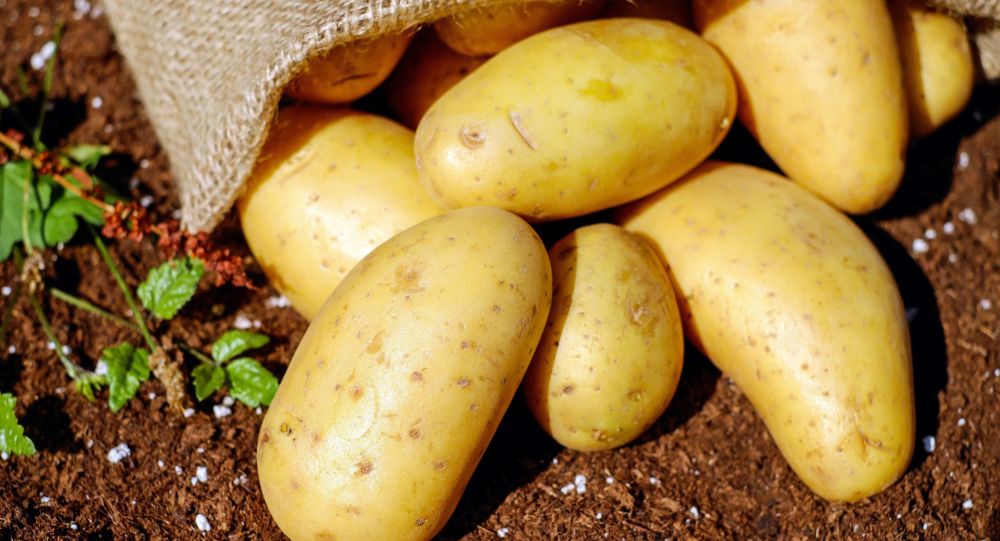 Швейцария повышает квоту на импорт картофеля из-за роста потребления во время блокировки