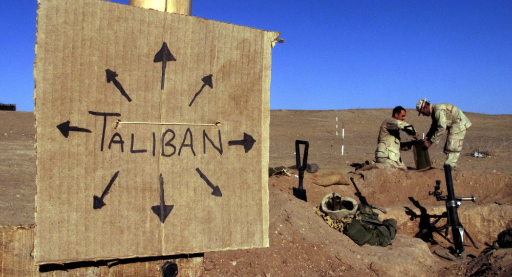 СМИ заявляют, что «Талибан» воспринял «поспешный» вывод американских войск из Афганистана как «победу»