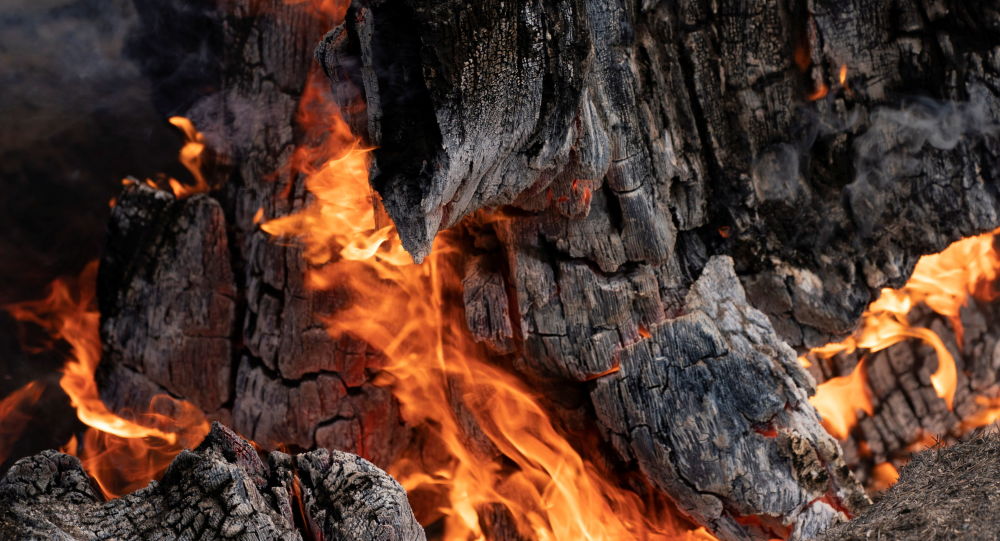 «Опасная ситуация»: массивные лесные пожары в Орегоне меняют погодные условия, сжигая более 380 тыс. Акров