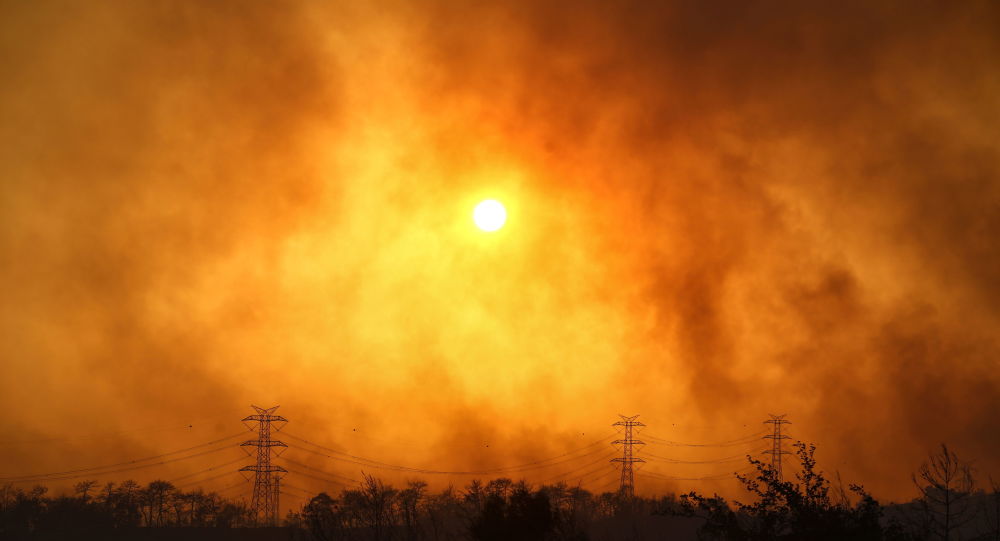 Представитель Эрдогана назвал лесные пожары в Турции национальной катастрофой