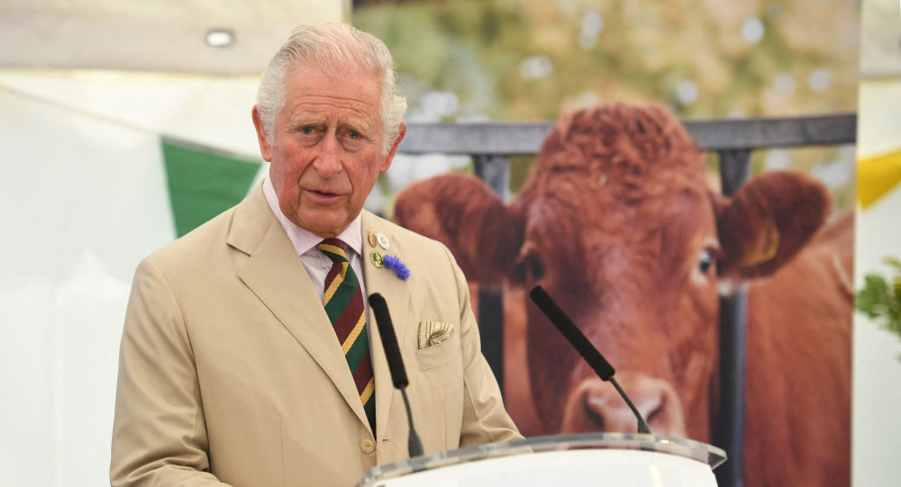 Sh * t Just Got ‘Royal’: наблюдайте, как принц Чарльз наступает на коровий навоз во время осмотра крупного рогатого скота