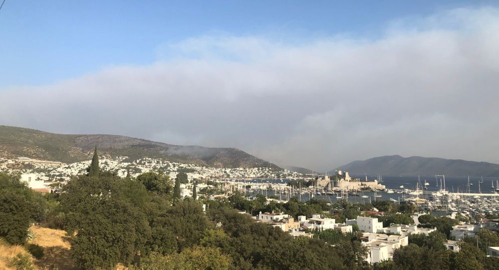 В турецком Бодруме из-за лесных пожаров эвакуированы три гостиницы