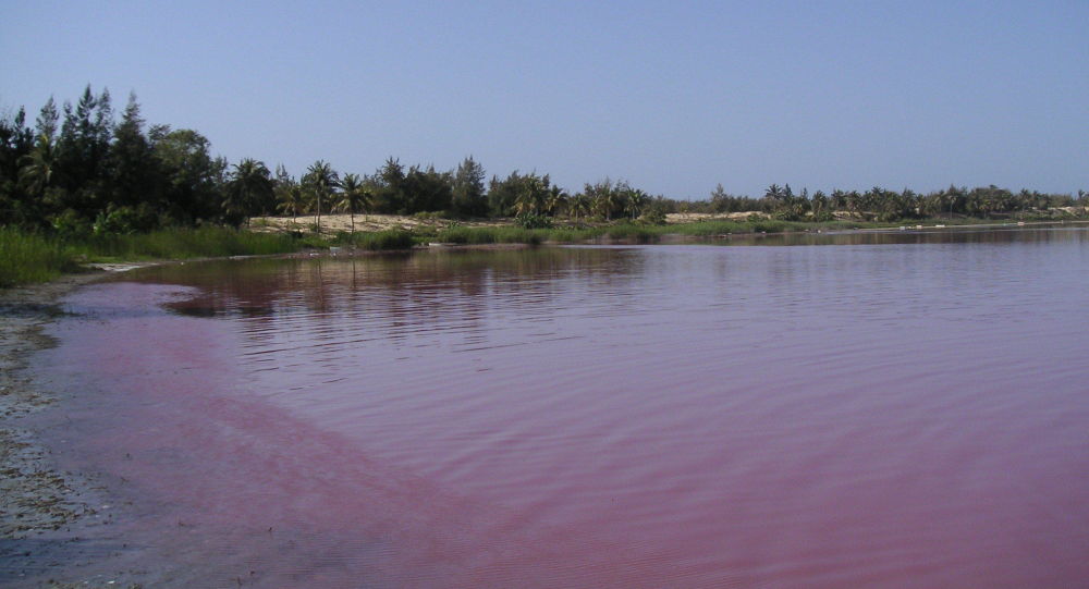 Загрязненное озеро Аргентины становится ярко-розовым