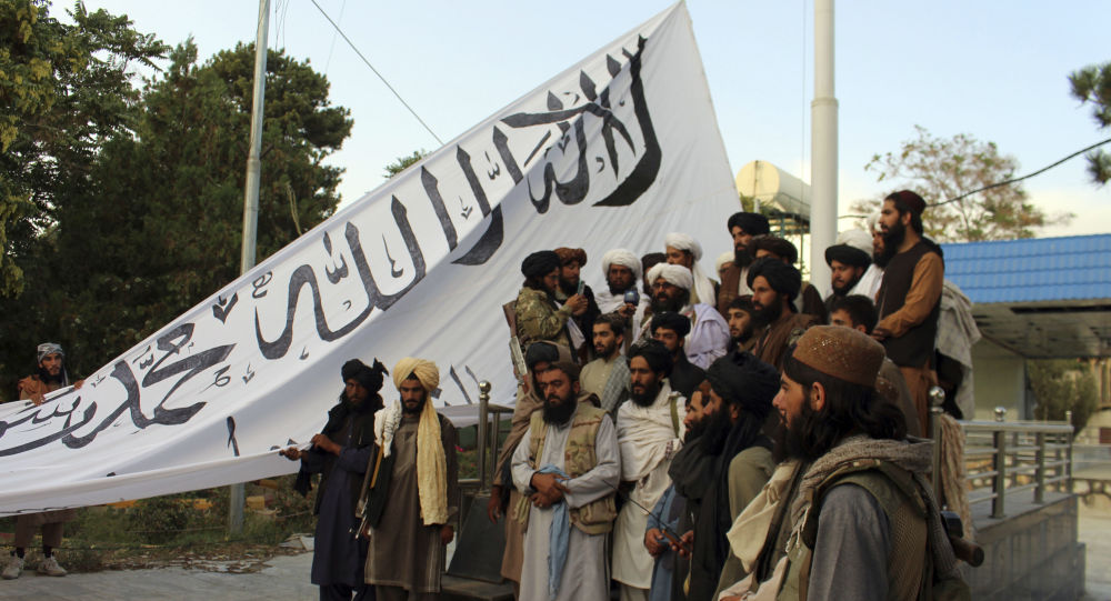 Пентагон признает «совместное слияние» Талибана и Хаккани, отказывается от оценки «отдельных образований»