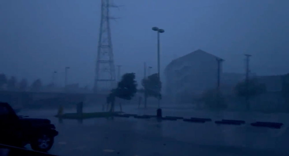 Первая смерть, связанная с ураганом Ида, сообщена в Луизиане