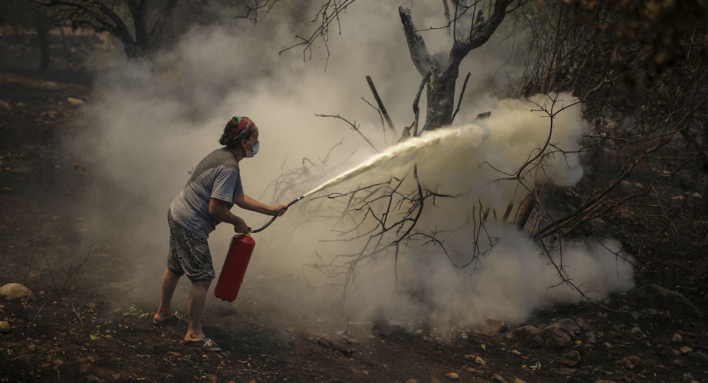По словам министра иностранных дел, следующие два дня имеют решающее значение для тушения лесных пожаров на юге Турции