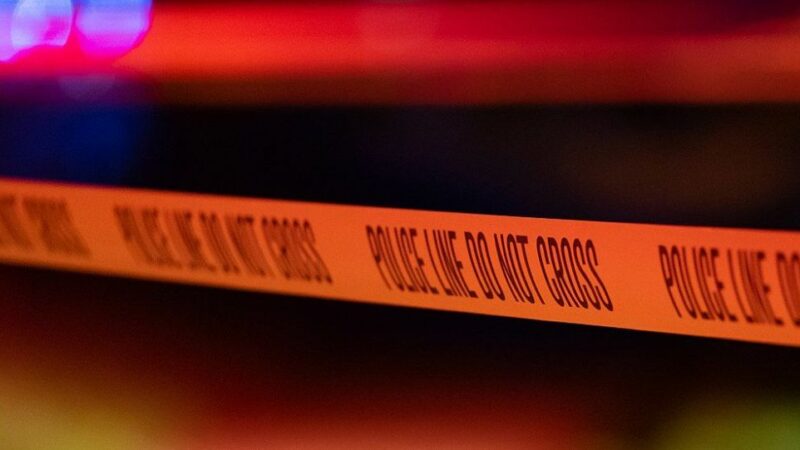 По сообщениям, трое старшеклассников были застрелены на проезжей части в Южной Каролине, подозреваемый на свободе