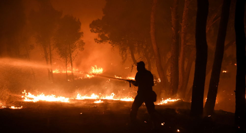 Разрушительные лесные пожары распространились по Греции, приближаясь к Афинам