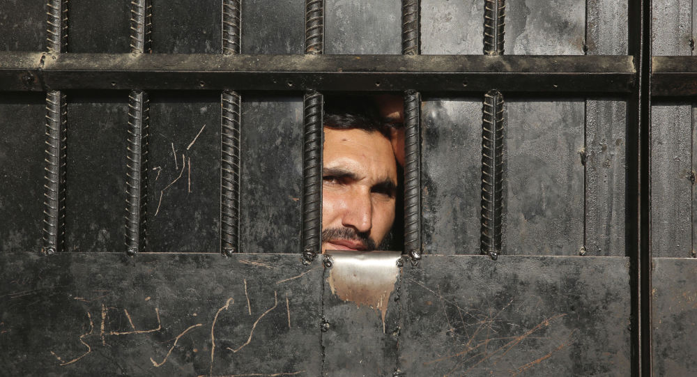 Сообщается, что талибы освободили 1000 заключенных в оккупированных афганских городах