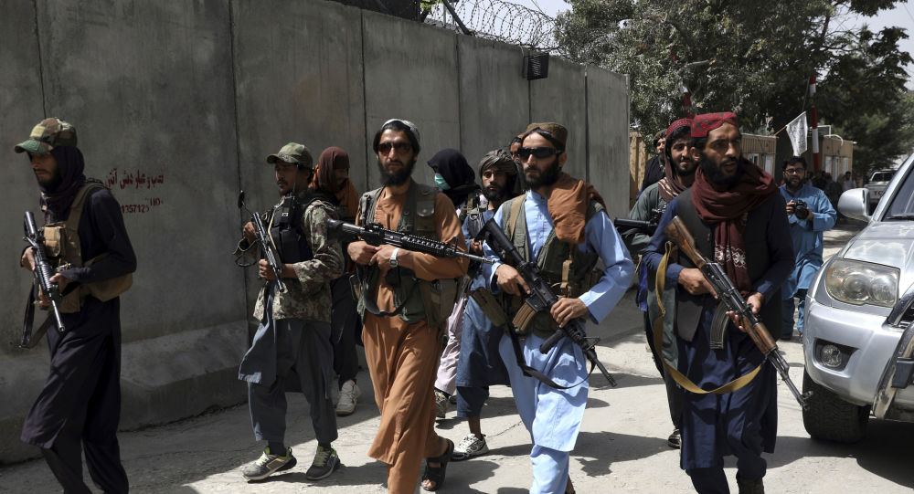 «В ужасе, увидев военную технику США в руках Талибана»: сенаторы Республиканской партии хотят ответов от Пентагона