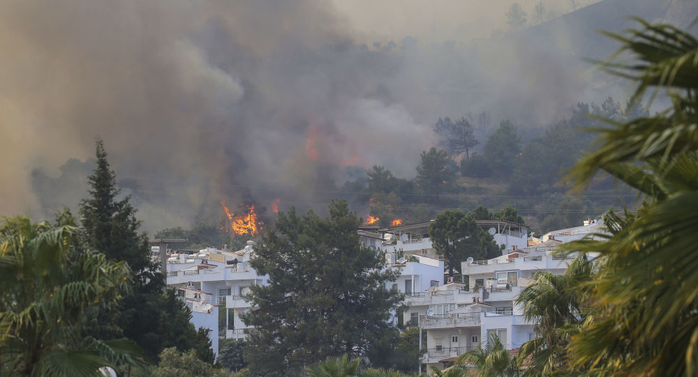 Волна тепла и сильные ветры подпитывают лесные пожары, которые бушуют в Турции уже седьмой день — фото, видео