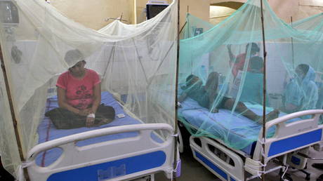 Десятки людей умирают от лихорадки денге в индийском Уттар-Прадеше, а в Дели также зарегистрированы случаи заражения комарами вируса