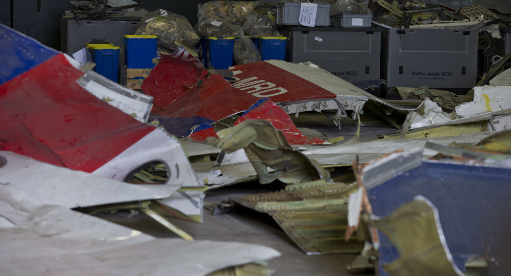 Приговоры по делу о катастрофе рейса MH17 будут оглашены к концу 2022 года, судьи правила