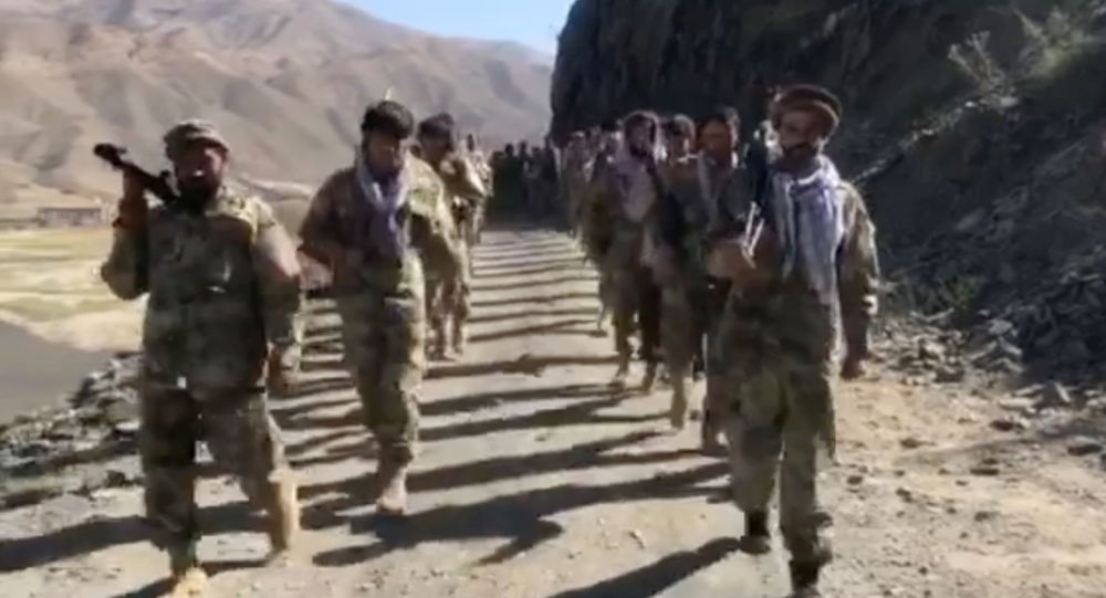 Сообщается, что Талибан начинает наступление в провинции Панджшер после провала переговоров с сопротивлением