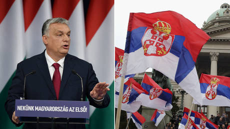 Венгрия и Сербия «восстановят» Центральную Европу и «защитят» ее от волн иммиграции — Орбан