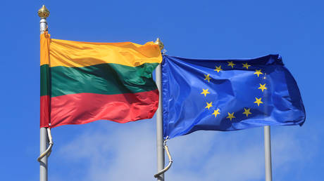 Евросоюз выделяет Литве миллионы на борьбу с наплывом мигрантов, прибывающих из Беларуси, но Вильнюс говорит, что ему нужно гораздо больше