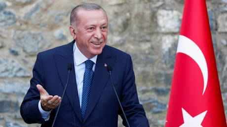 Эрдоган в Турции раскритиковал правящую миром горстку победителей Второй мировой войны во время стремительного турне по Африке
