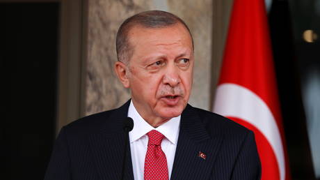 Эрдоган рассматривает возможность увольнения 10 западных послов из-за призывов освободить заключенного оппозиционного деятеля Кавалы