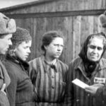 В Германии увеличены пенсии до 6500 выживших в Холокосте, переживших блокаду Ленинграда, и других, которые жили в подполье - RT World News
