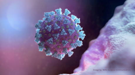 Вариант коронавируса A.30 « эффективно избегает » антител, индуцированных вакцинами Pfizer и AstraZeneca — лабораторное исследование