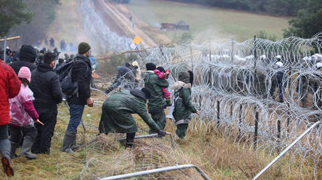 ЕС может использовать Украину в противостоянии мигрантов на границе с Польшей — депутат парламента Германии