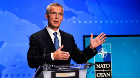 Глава НАТО раскрыл работу своей мечты