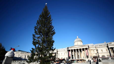 Норвегия не заменит лондонскую рождественскую елку ветвями, которые « социально дистанцируются »