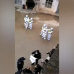В Китае публично пристыдили нарушителей правил Covid (ВИДЕО) - RT World News
