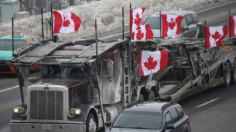 О чем «Конвой свободы» канадских дальнобойщиков