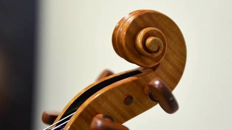 Ремесленник создал первую в мире веганскую скрипку