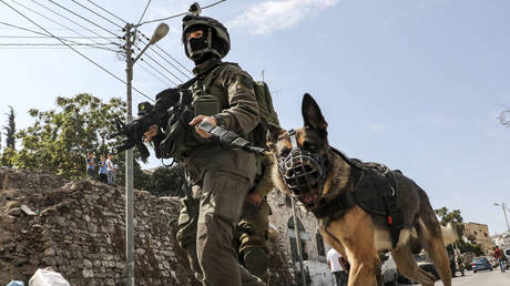 Смотрите, как израильские солдаты натравливают собаку на безоружного палестинца
