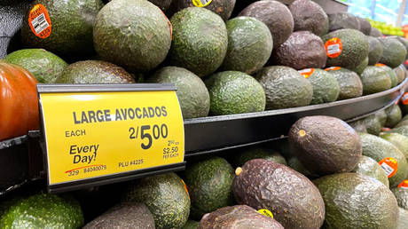 США приостановили импорт авокадо из-за угроз наркокартелей