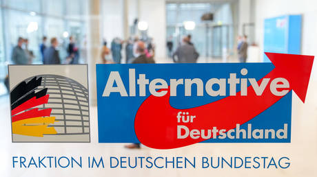 Немецкий суд постановил, что власти могут шпионить за крупной политической партией