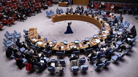 ООН обдумывает ограничение права вето