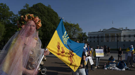 Что на самом деле думает Запад об украинском конфликте?