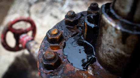 Может ли Запад выжить без российской нефти?