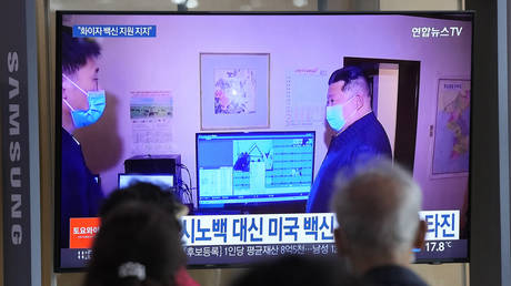 Северная Корея мобилизует армию для борьбы с эпидемией