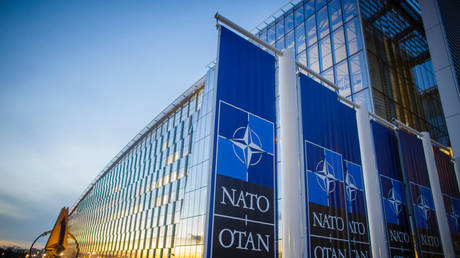 Сосед России намерен объявить о заявке на членство в НАТО